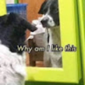 Meet your Posher, Kate :p